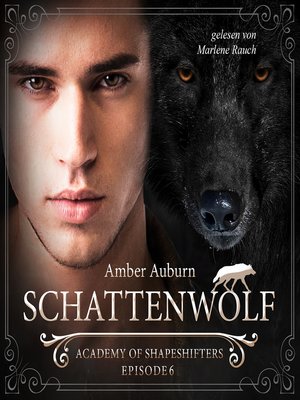 cover image of Schattenwolf, Episode 6